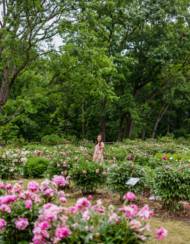 Rachel Kawate at Peony Garden, Nichols Arboretun