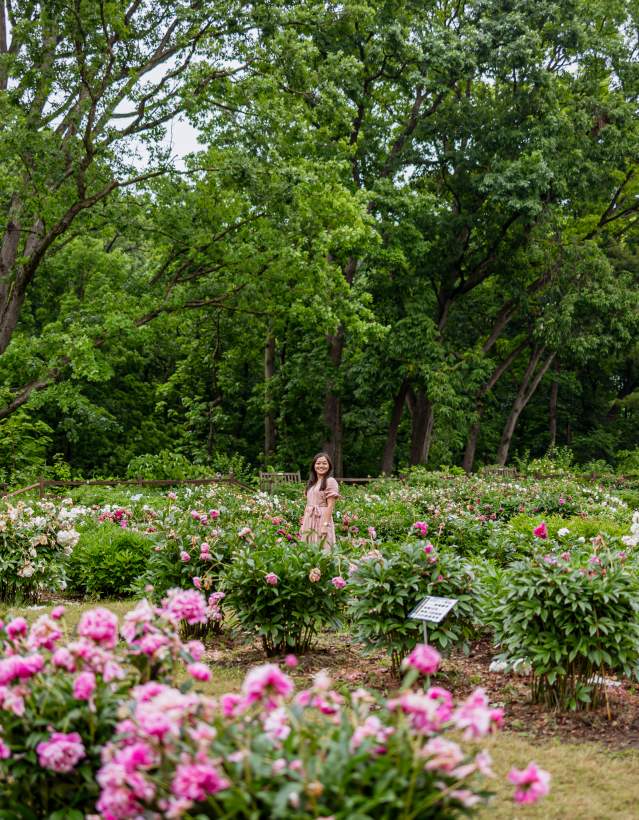 Rachel Kawate at Peony Garden, Nichols Arboretun