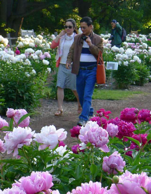 Couple walking in Peony Garden