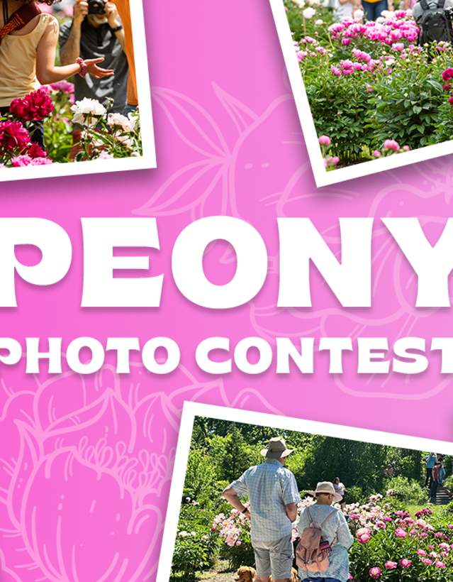 People, Pets & Peonies photo contest