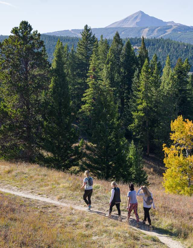 Group hiking uplands and hummocks