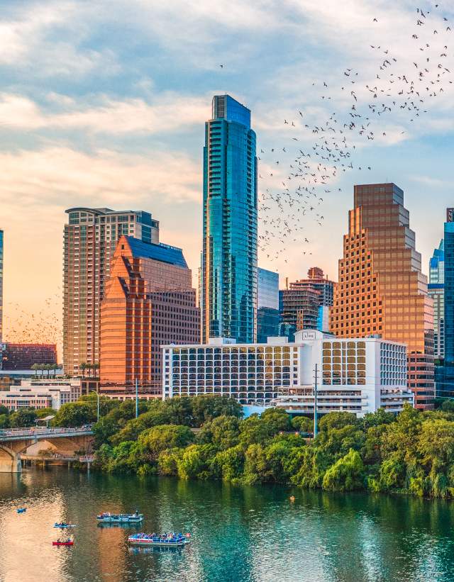 bats flying from the congress bridge in front of Austin skyline at sunset