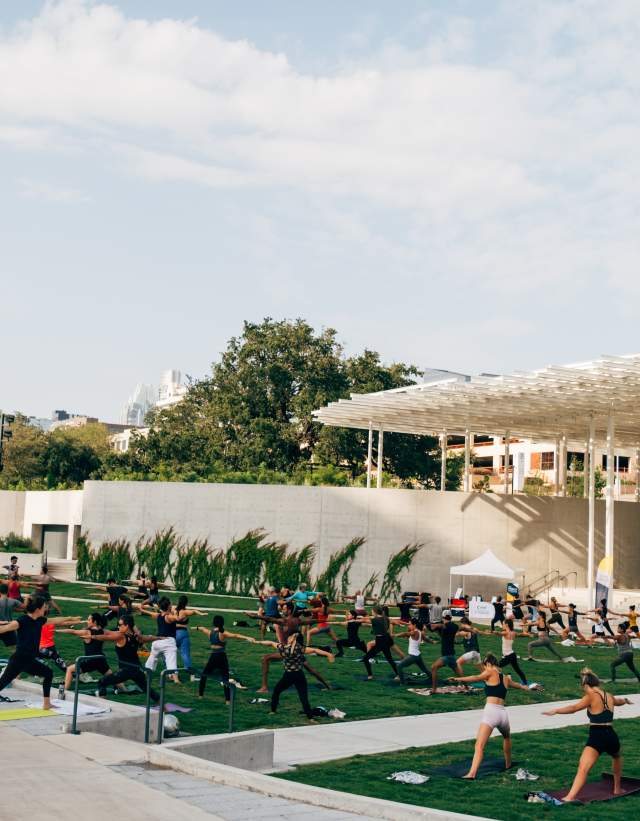 Men and women practicing their warrior yoga poses on the shaded Waterloo Park lawn.