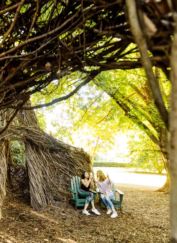 Davidson College Branch Sculpture Art