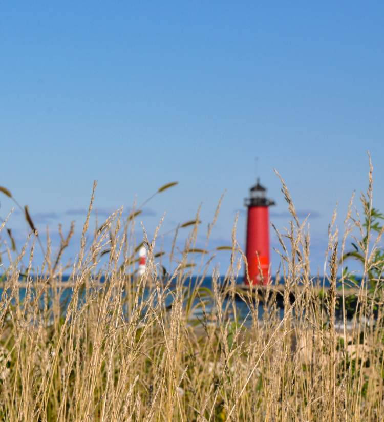 North Pier Lighthouse - Simmons Island Grasses