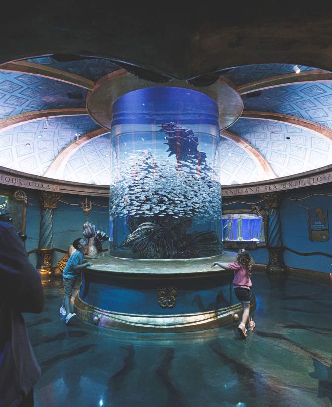 Aquarium Family Attraction