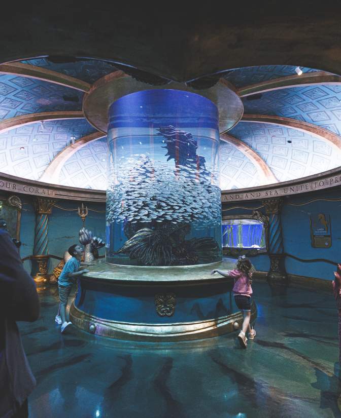 Aquarium Family Attraction
