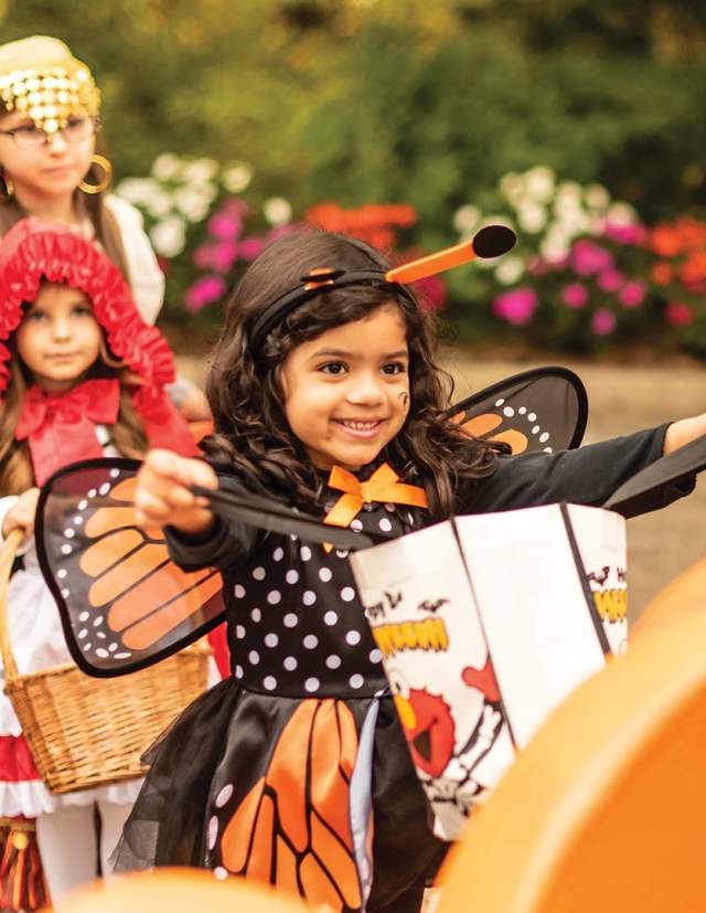 Girl dressed as monarch butterfly for Halloween holding out candy bag at SeaWorld San Antonio