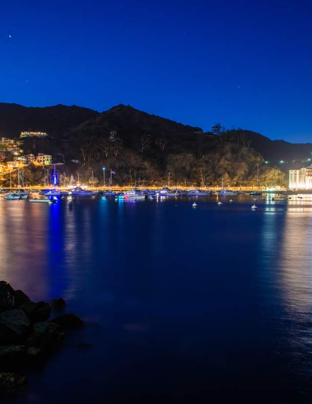 Catalina Island Nightlife