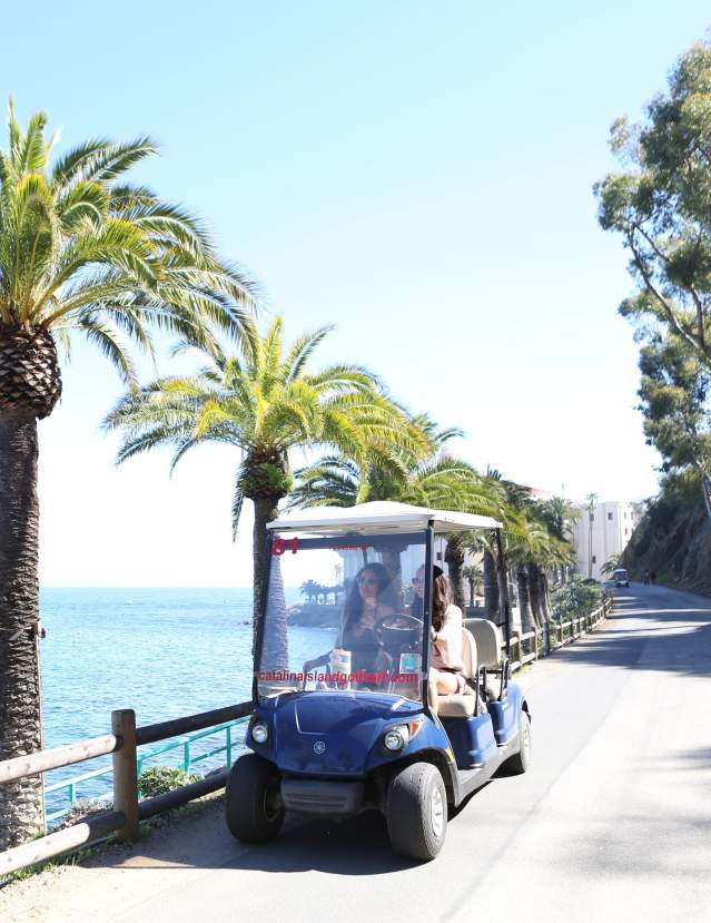 Getting Around Catalina Island