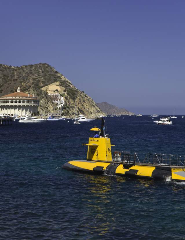 Catalina Island Boat Tours