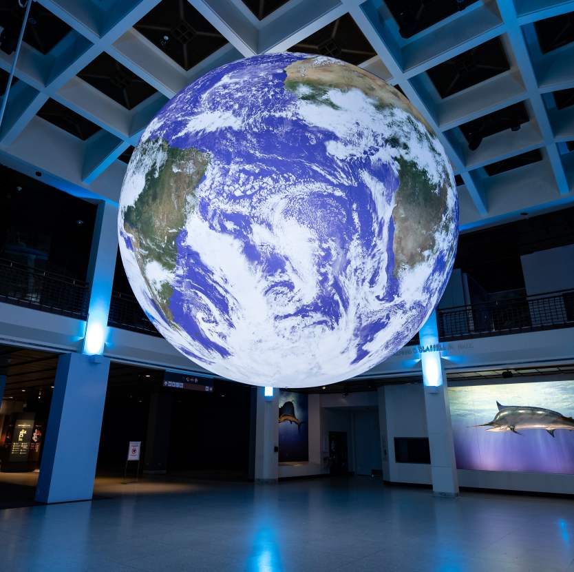 Covid 19 Information Resources For Houston Residents Travelers