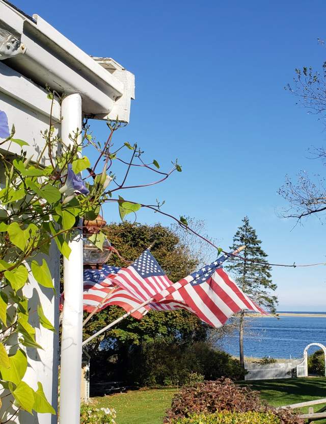 Veterans Day on Cape Cod