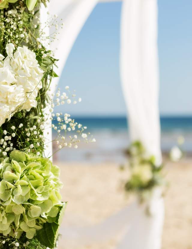 Weddings on Cape Cod