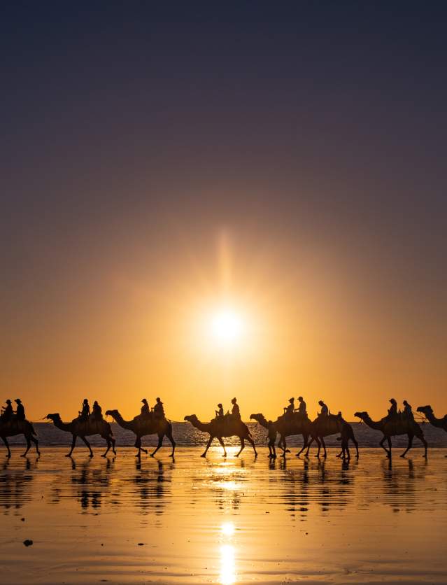 People and camels silhoutted against the setting sun on Cable Beach, Broome.