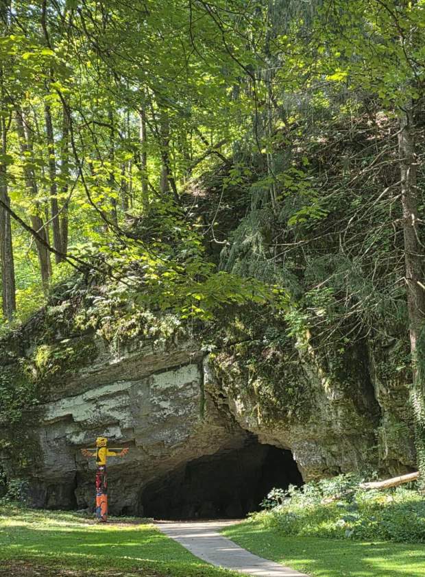 Picture of the entrance at Woodward Cave