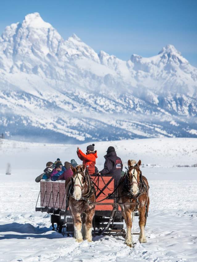 Sleigh Rides