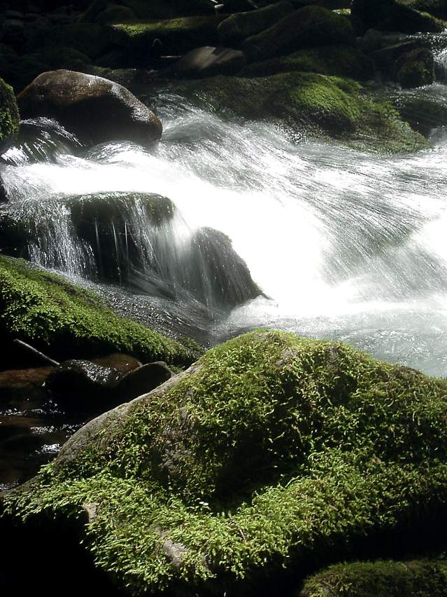 water