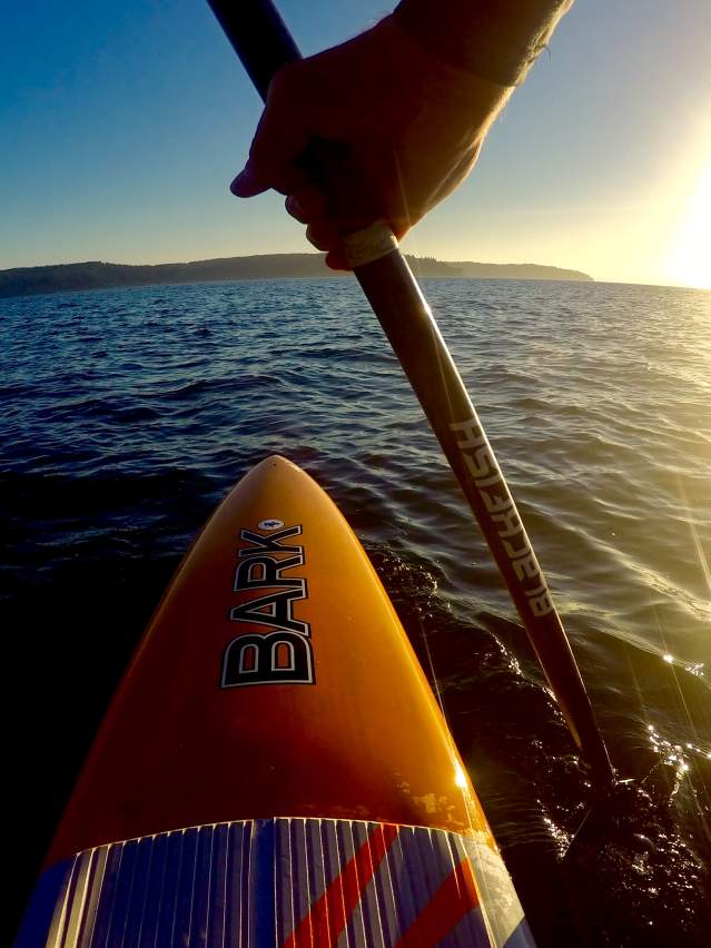 Paddleboarder in Salish Sea