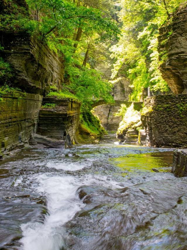 Robert H. Treman State Park