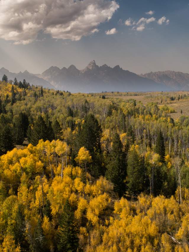 Fall in The Tetons by Jay Kazen - Drone