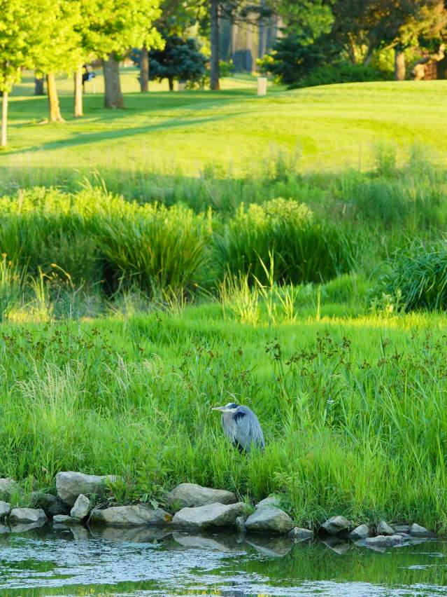 Sugar Creek Golf