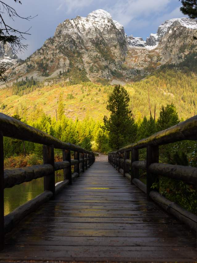 Bridge in Tetons