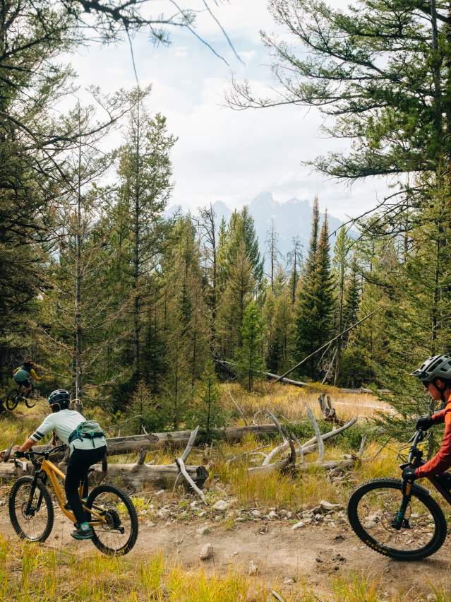 Mountain Biking