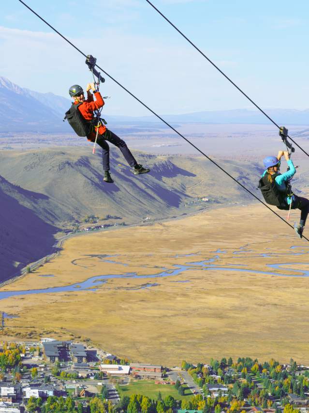 Snow King Zipline