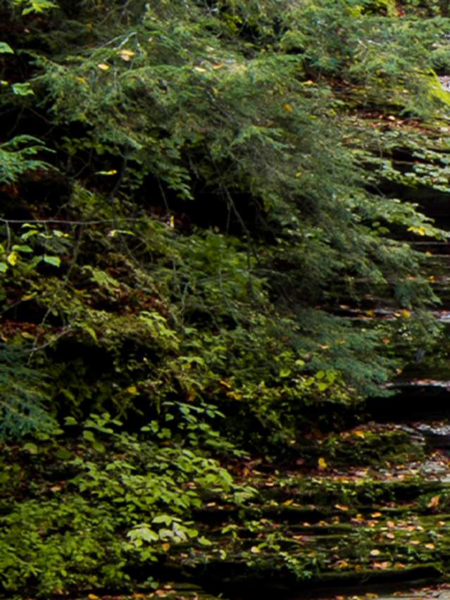 Ithaca Falls in Ithaca, NY with brown rocks and green foliage