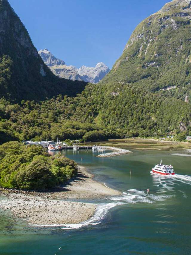 Milford Sound Scenic Cruise