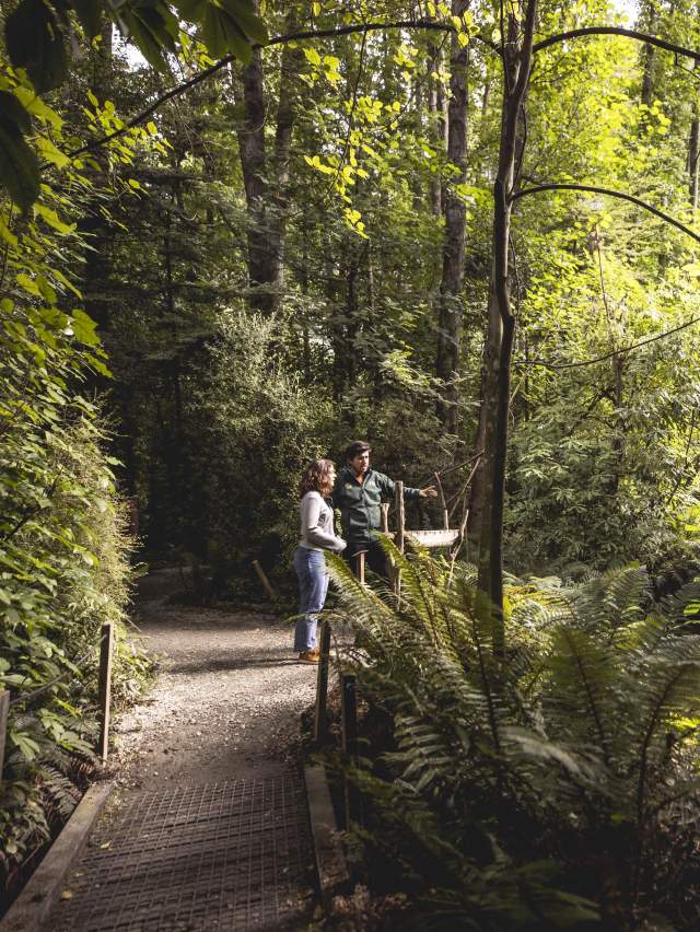Two people surrounded by native bush at the kiwi park
