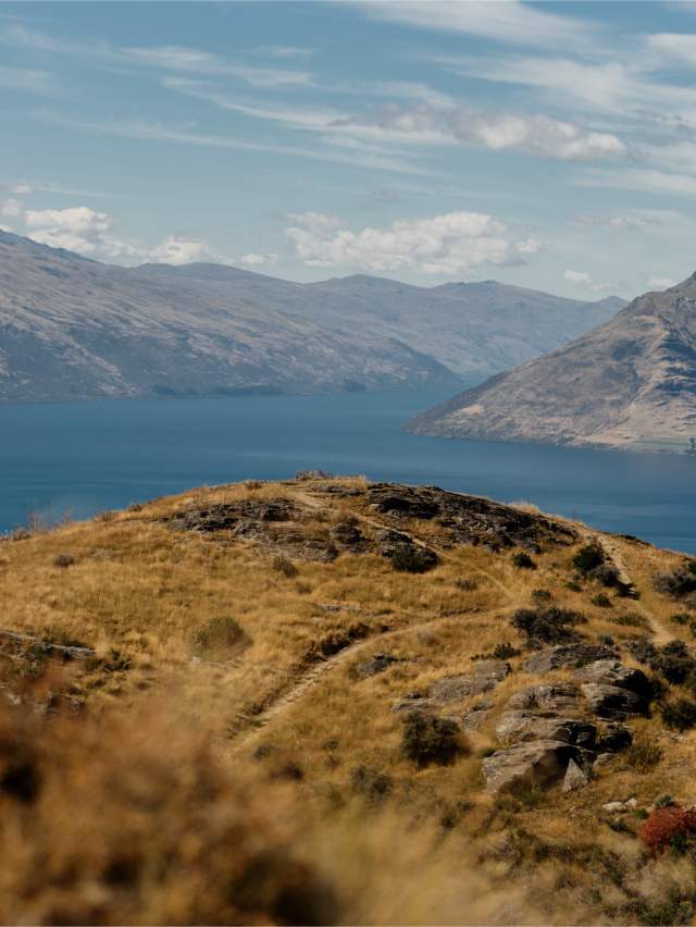 Far away view on the top of a golden tussock covered mountain with lake and big mountains in the background