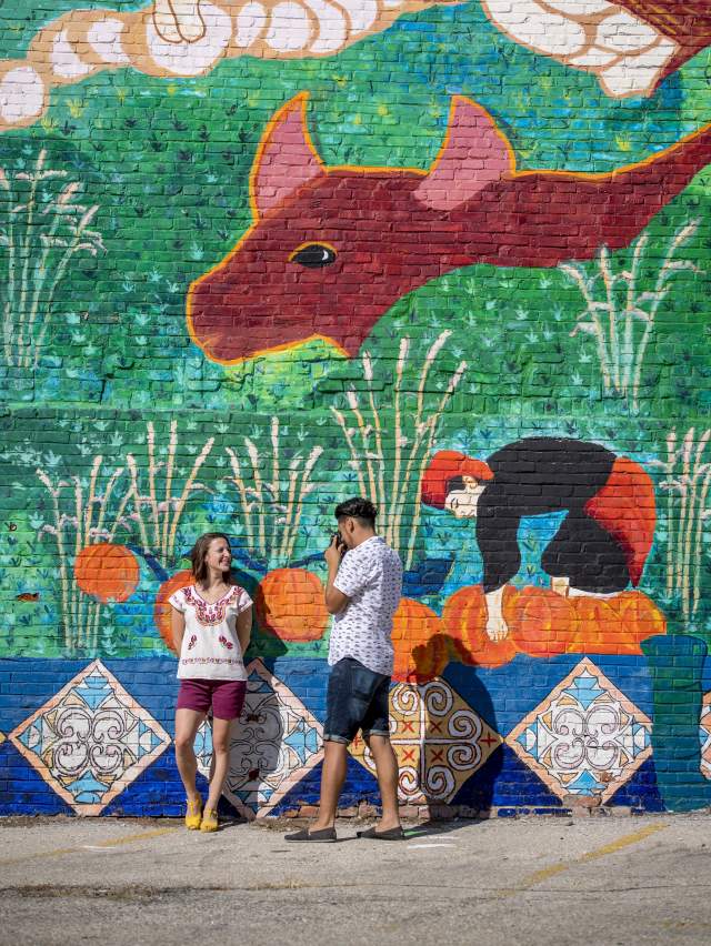 Hmong Storycloth Mural