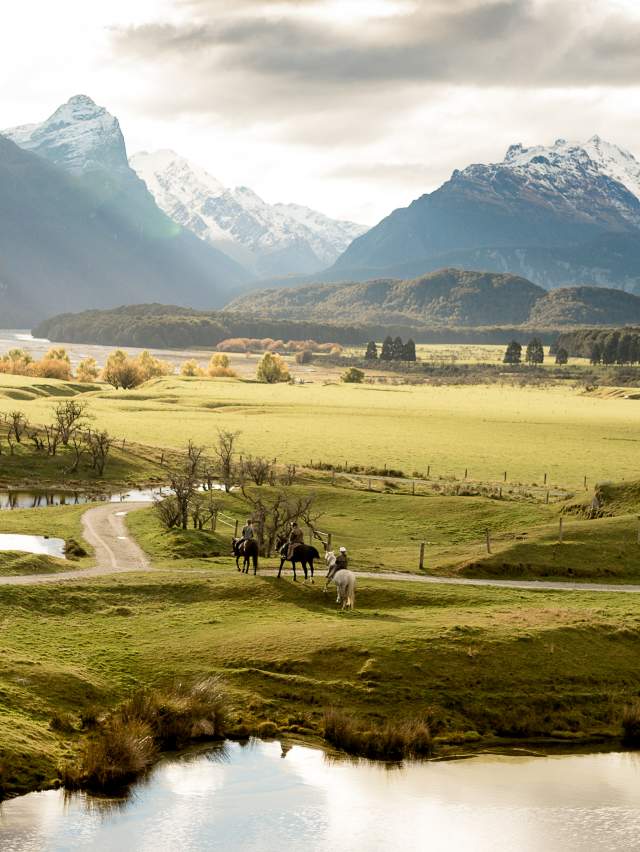 High Country Horses Glenorchy