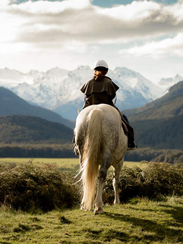 High Country Horses Glenorchy solo rider
