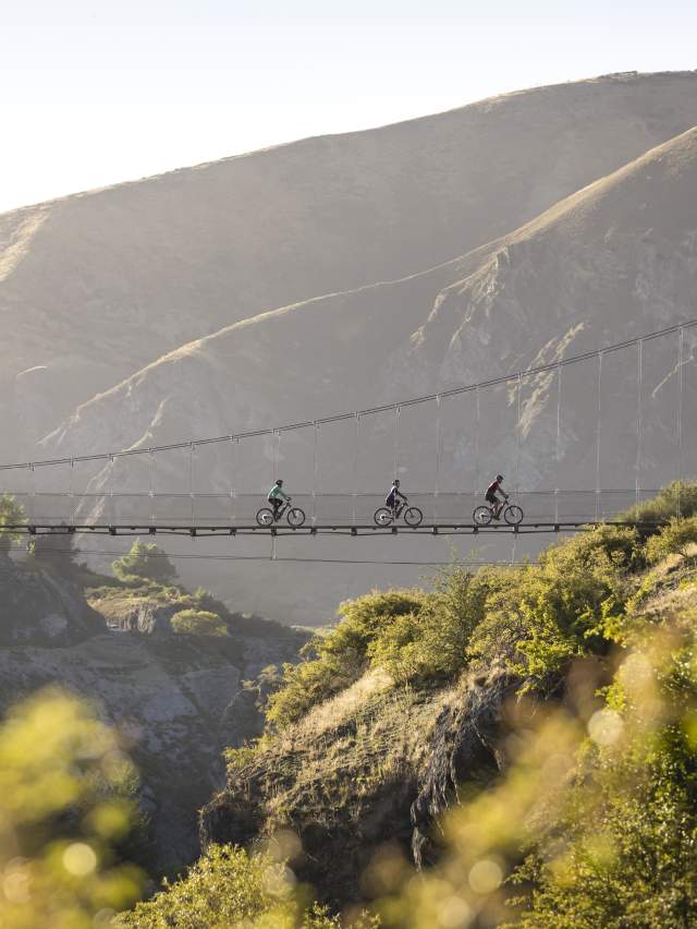 Three people biking on Edgar Bridge, Gibbston Valley Trail