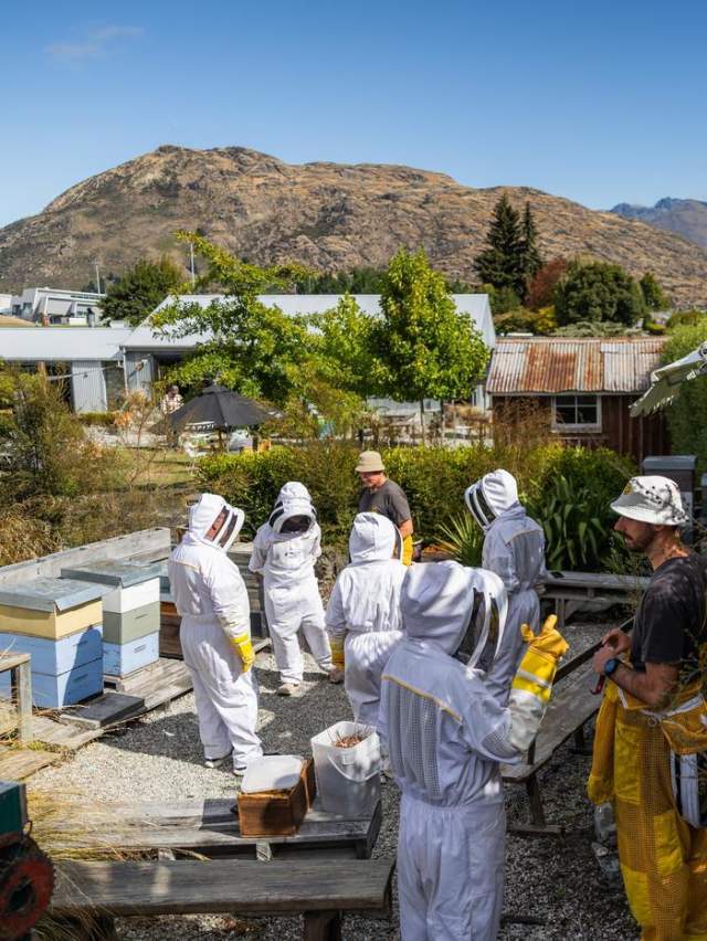 Group of people on a honey tour dressed up in bee suits looking at the hives