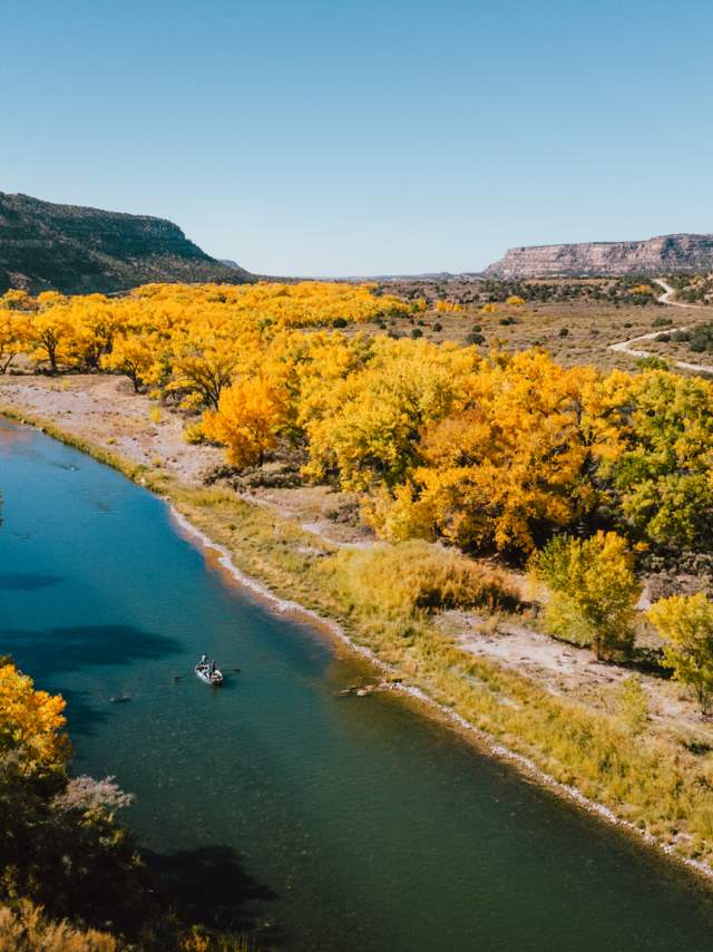 an aerial view of a small boat floating down the san juan river, mountainous terrain is in the distance and the banks are covered in bright yellow trees