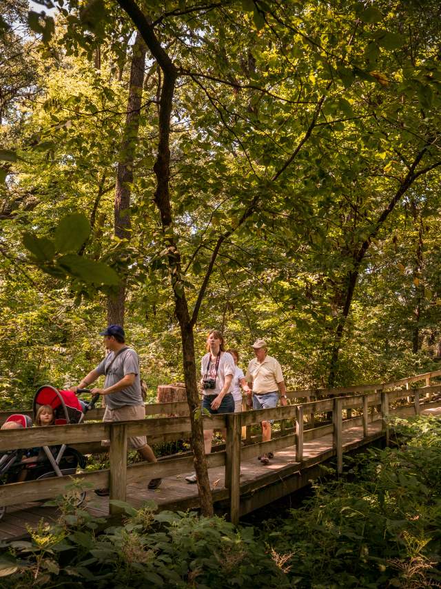 Fontenelle Forest