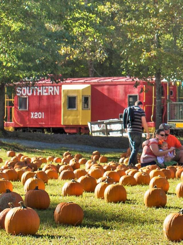 The train lets guests depart at Pumpkin Junction.