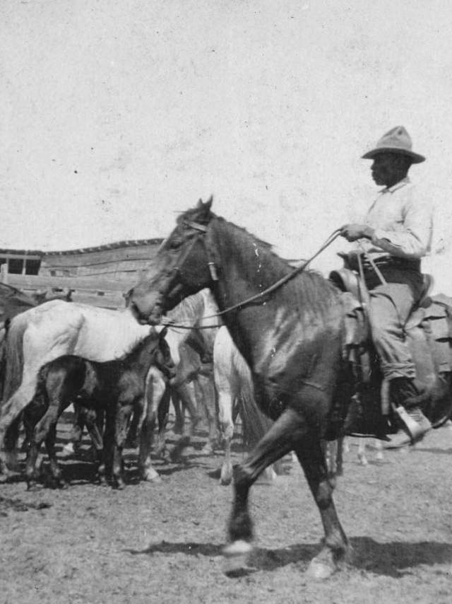 History of the Black Cowboy
