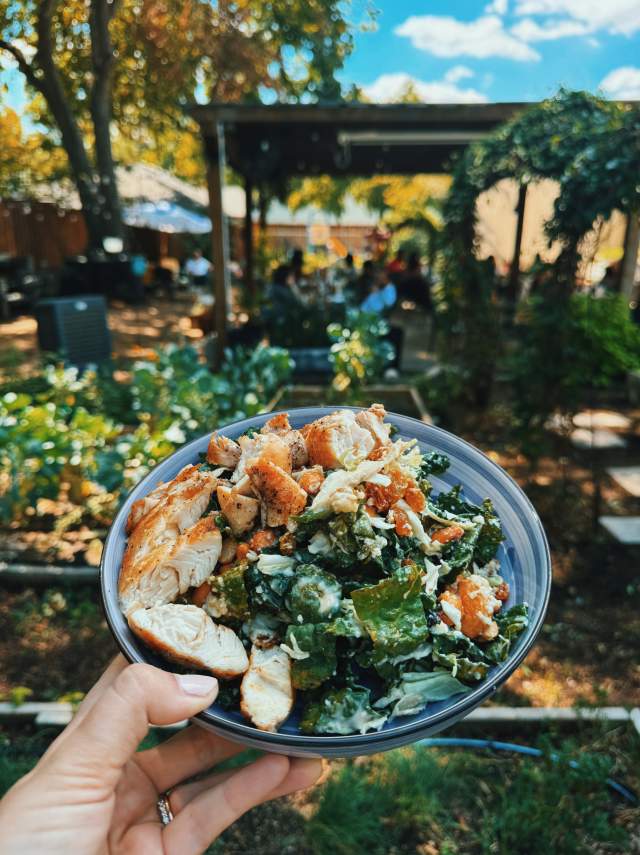 Dine in a Secret Garden at East Dallas Farm-to-Table Hidden Gem, Garden Cafe