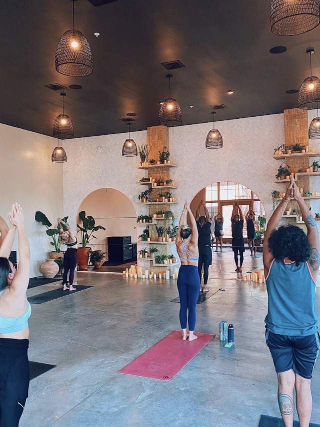 jungle fitness studio