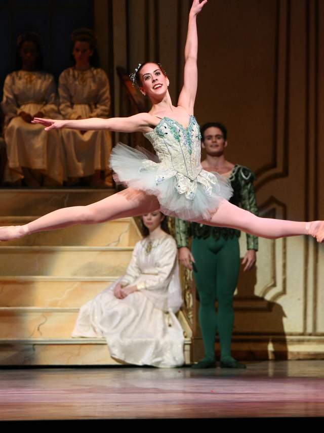 Dayton Ballet Zoom