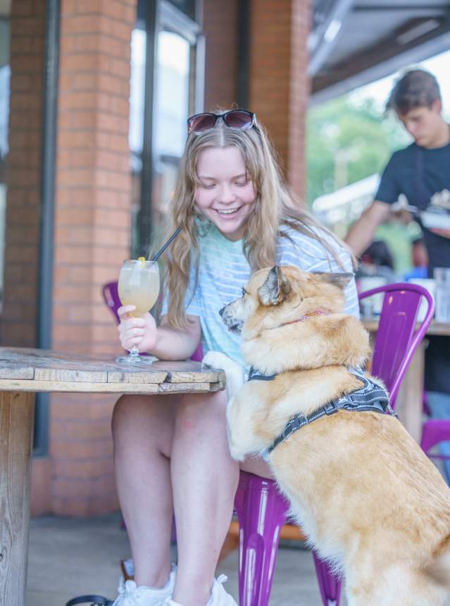 Dog at Table at Ki' Mexico