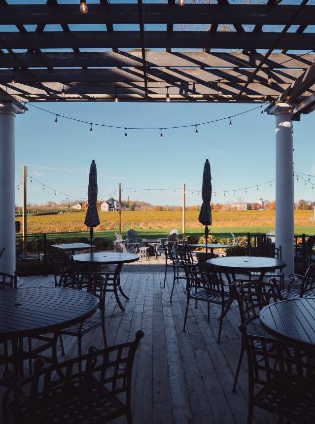 Patio backing onto vineyards