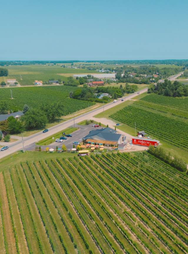 Aerial View of Highway 55