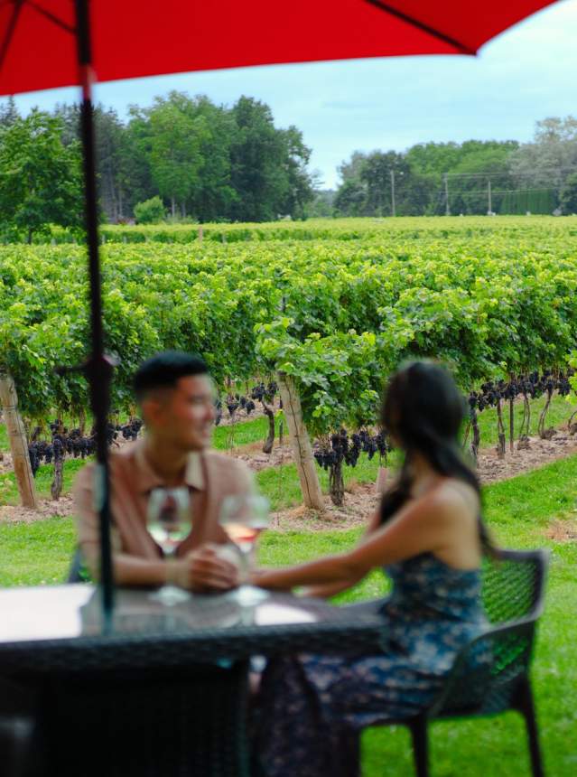 Couple dining at a vineyard patio