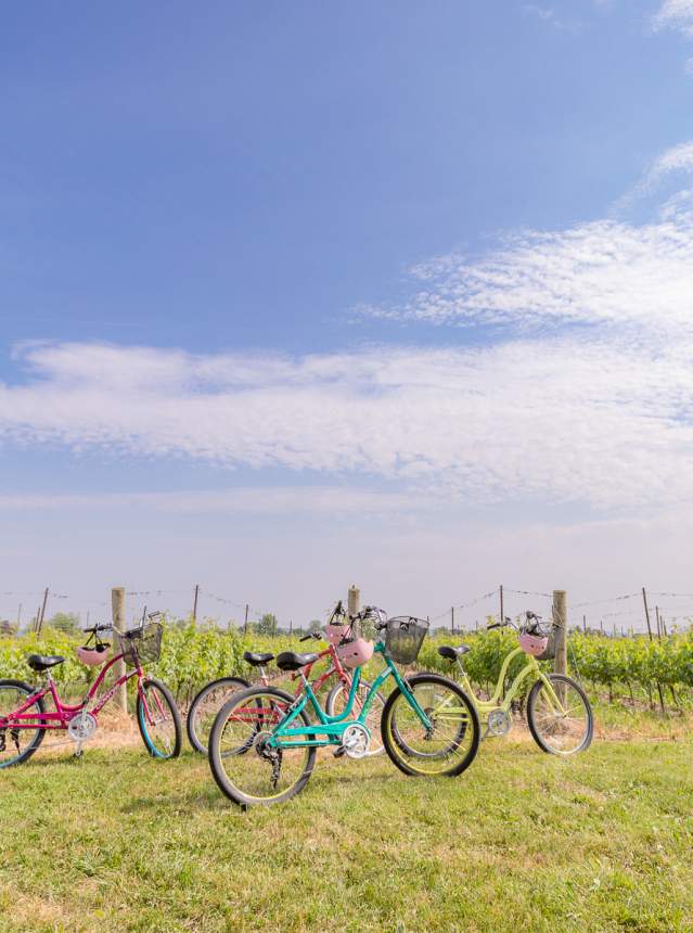 Bikes